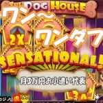 #420【オンラインカジノ｜スロット🎰】ワンダフル～お小遣い増えたど！｜The Dog House｜月3万円お小遣い代表