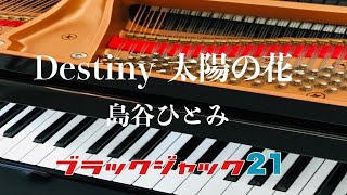 Destinyー太陽の花ー   島谷ひとみ　テレビ「ブラックジャック21」より　ピアノ ソロ　歌詞　pf